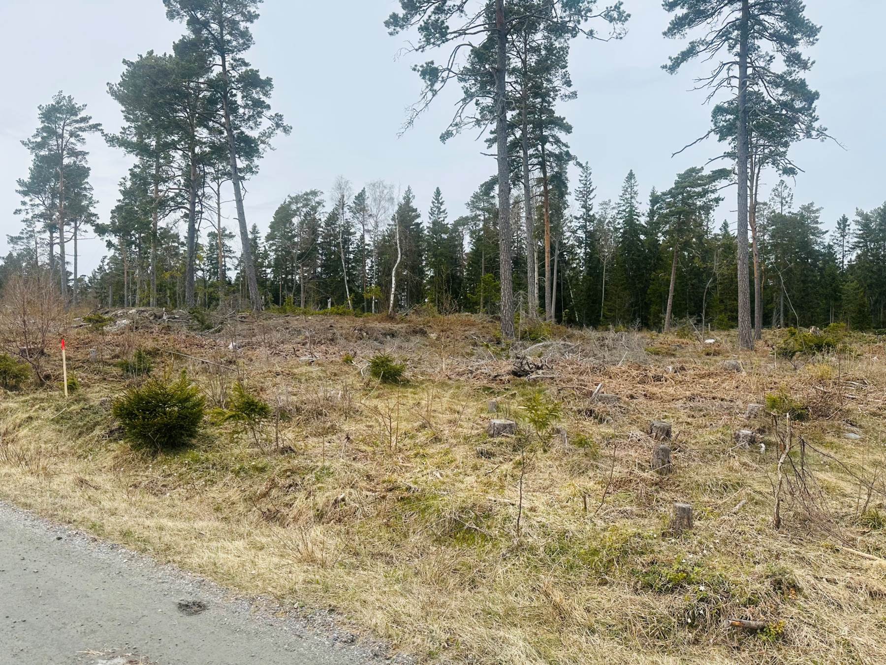 Blåsargårdsvägen 19 – Norrtälje