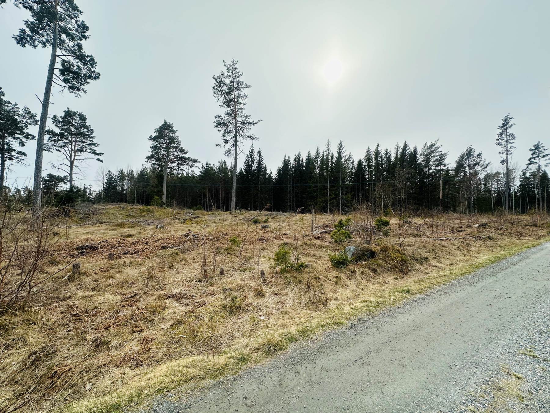 Blåsargårdsvägen 20 – Norrtälje