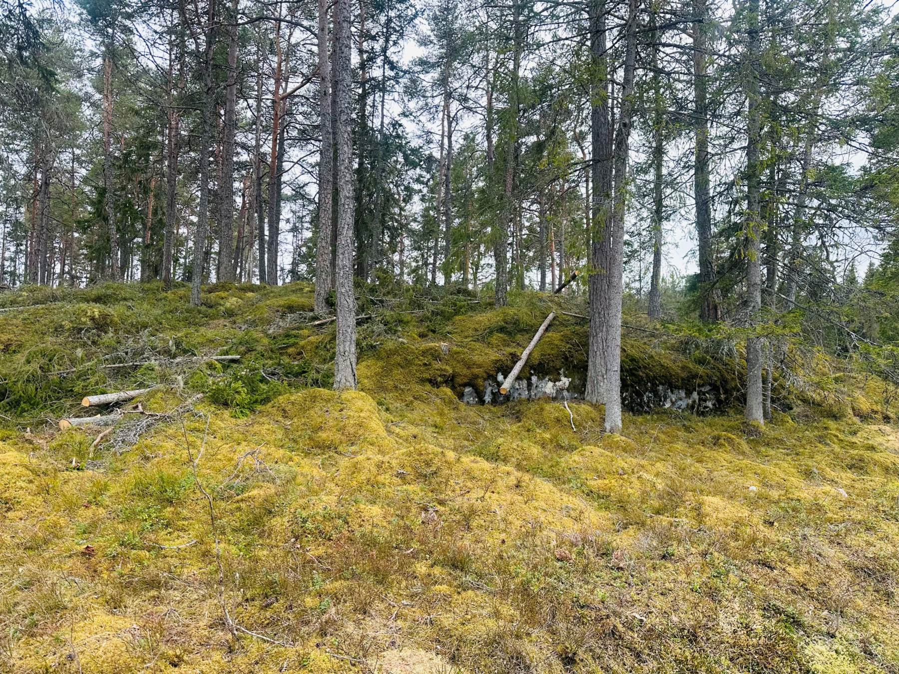 Blåsargårdsvägen 22 – Norrtälje