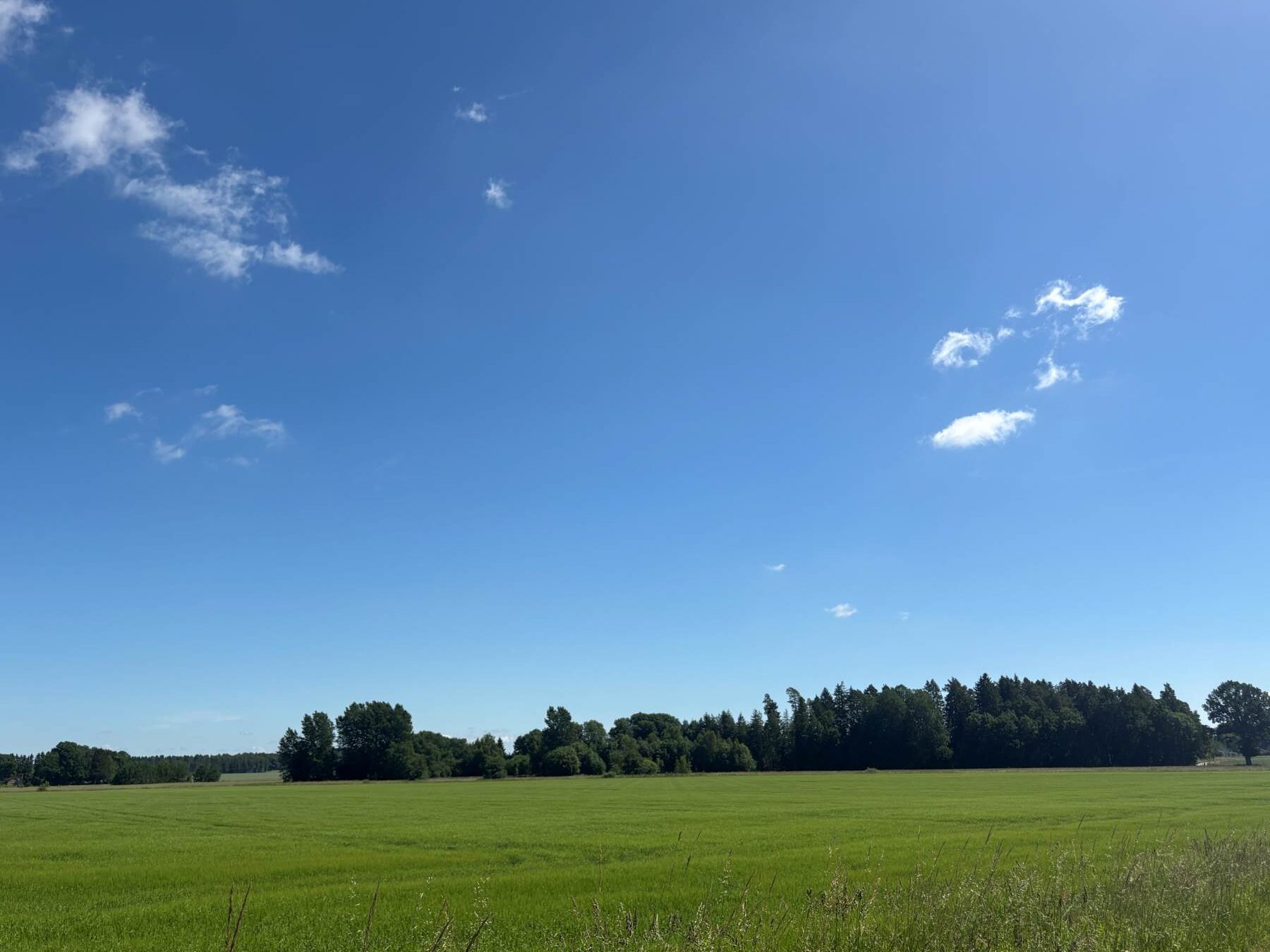 Essunga åsen 401 – Essunga